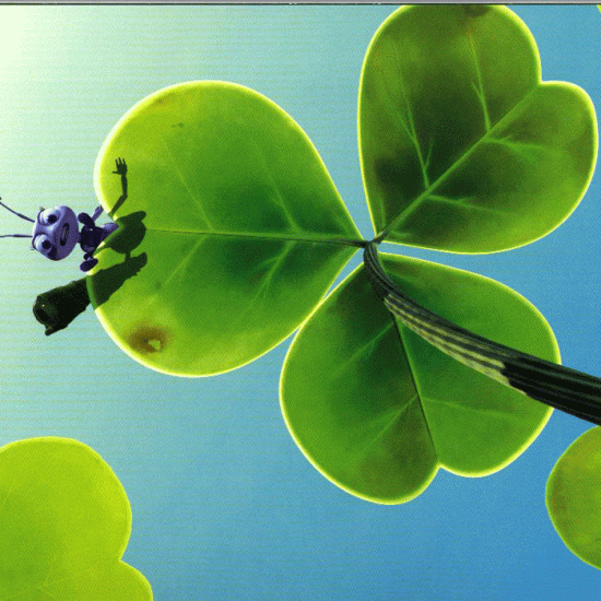 (Bild für) A Bug's Life "Multi Pak" Special 2003 Collectors Edition - zum Schließen ins Bild klicken